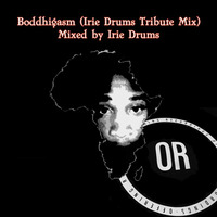Boddhigasm (Irie Drums Tribute Mix) by Irie Drums