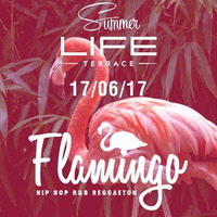 17/06/17 - Flamingo Life Club by Marco Olivari