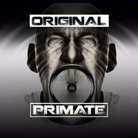 Original Primate -  Promo Mix April 2017 by Rob Focuz