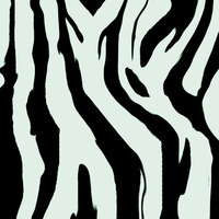 Zebra by Nardo Says