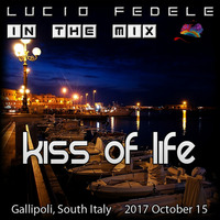 Kiss Of Life by Lucio Fedele