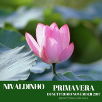 Nivaldinho - Primavera (November 2017) by Nivaldinho