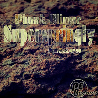 Phunk Elimar - Superspringly (Persico Brothers Remix) by Matt Merty