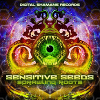 Sensitive Seeds - Shamanic Experience (Mastering By E.V.P) Preview | EP OUT NOW ON DSR by Sensitive Seeds