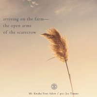 The Open Arms of a Scarecrow (naviarhaiku183) by Audio Obscura
