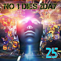 NO 1 DIES 2DAY 25 ~ Kickin' Consciousness by T-Mension