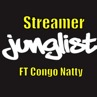 Streamer- The Junglist's wicked plan (Free Download) by STREAMER