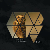 2nd Owl b2b Deeputy #04 by Owlmode