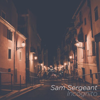 Incognito by Sam Sergeant