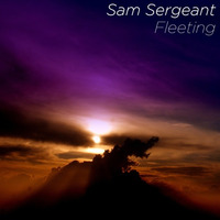 Fleeting by Sam Sergeant