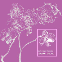 Radiant Orchid by Dominik Schiek