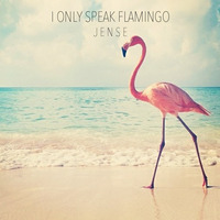 I only speak Flamingo by Jense