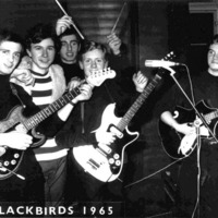 Blackbirds Sunny Afternoon 1966 (for the SC group "once upon a time") by hjerlmuda (eXPerimentator)