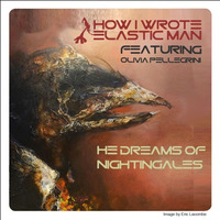 He Dreams Of Nightingales (click for VIDEO link) by The Inconsistent Jukebox