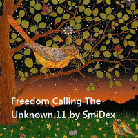 Freedom Calling The Unknown 11 by SmiDex by Yaz