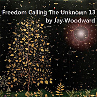 Freedom Calling The Unknown 13 by Jay Woodward by Yaz