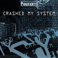 Crashed My System by Paree Katti