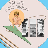 Trecut - Psigo Droom (Original Mix) Cut by The Red Skull