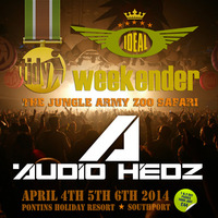 Audio Hedz @ The Ideal Tidy Weekender 5th April 2014 by AudioHedz