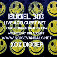 Crate Digger Radio Show 101 On www.noisevandals.net Guest Live Acid Set from Budel 303 by Mark Allen