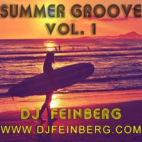 Summer Groove Vol. 1- Remixed Funk, Soul, Hip Hop &amp; Reggae by DJ Feinberg