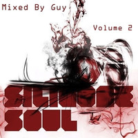 Silicone Soul II - My favourite Silicone Soul Tracks in a mix by Guy Middleton