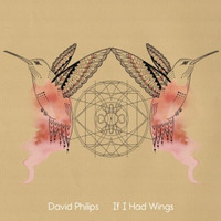 Hummingbird - David Philips by Black and Tan Records