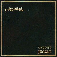 Jungle-Drops(JAMES ROD Epic remix)(DJTOOL) by JAMES ROD/GOLDEN SOUL RECORDS