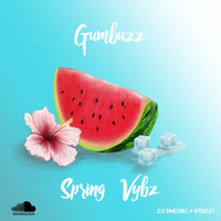 Gumbuzz - Spring Vybz [2017 Dancehall Afrobeat] by Gumbuzz