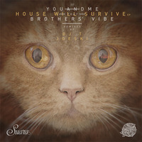 youANDme feat. Brothers' Vibe - "House will survive" (DJ T. Remix) | SUARA 227 by youANDme