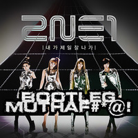 2NE1 - I Am The Best (Spear Bootleg) by Spear (now known as Stardoll)