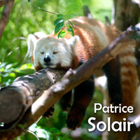 Patrice Solair - Time to relax 2017-II by Patrice Solair