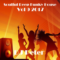 Soulful Deep Funky House Vol 9 2017 - DJ Peter by Peter Lindqvist