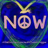 NatureLovesCourage - Peace Now Jazzy Edit (feat. Terence McKenna) by Schneiderstube
