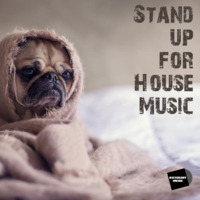 Stand up for HouseMusic by Lukas Heinsch