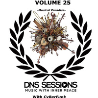 DNS Sessions LocalMix#25 by Funk Everything [CyBerFunk] by DNS Sessions - Deep N Soulful Sessions