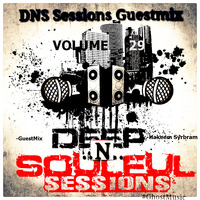 DNS Sessions Vol.29 GuestMix by Hakeem Syrbram [USA,New Jersey]-Urban Movement Radio- by DNS Sessions - Deep N Soulful Sessions