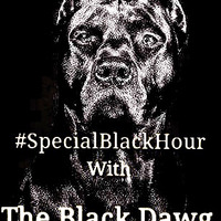 DNS Sessions Vol.20 Special 4Hours Once-Off Mix -[Legendary Classic Mix]- By The Black Dawg [CyBerFunk] by DNS Sessions - Deep N Soulful Sessions