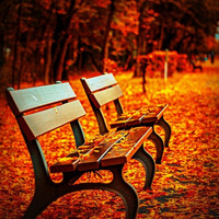 Autumn Chill by Vocalatti