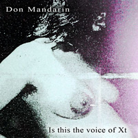 Don Mandarin - 01 - Is this the voice of Xt by Darker Ghoul