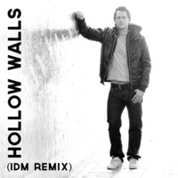 Hollow Walls (IDM Remix) by Fab Jansen