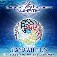 Liquid Bloom + Numatik - “Stand With Us to Bless the Waters”