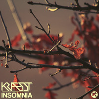 Insomnia (Original Mix) [Modulate Records] by Kraedt
