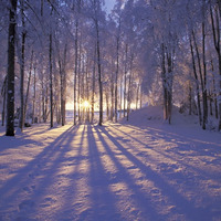 Digitally imported Winter Solstice 2012 by DragRam