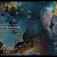 Live @ Freqs Of Nature 2012, Germany by Lauge & Baba Gnohm