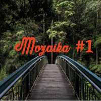 Mozaïka #1 by Bigzy