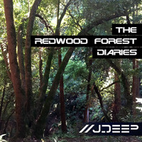 J - Deep – The Redwood Forest Diaries I – Tribal Mix 2015 by Tribonic