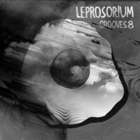 Leaden Storm [Leprosorium Grooves 8] by E67