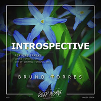 Bruno Torres - Out Of Control (Original Mix) - OUT SOON BY DEEP INSANE by Bruno Torrezz