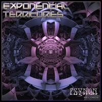 Gelika - Rekorderlig - Nomad 25 Rmx - Exponential Territories EP - 128kbps sample with Fades by Psynon Records